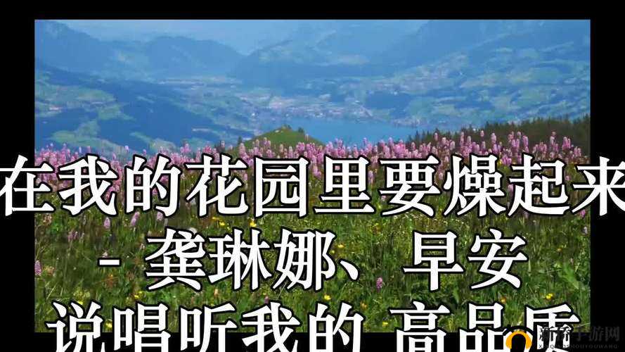 在我的花园里要燥起来：开启狂热之旅