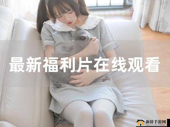 三年片在线观看免费观看大全下载知名男主播相关内容