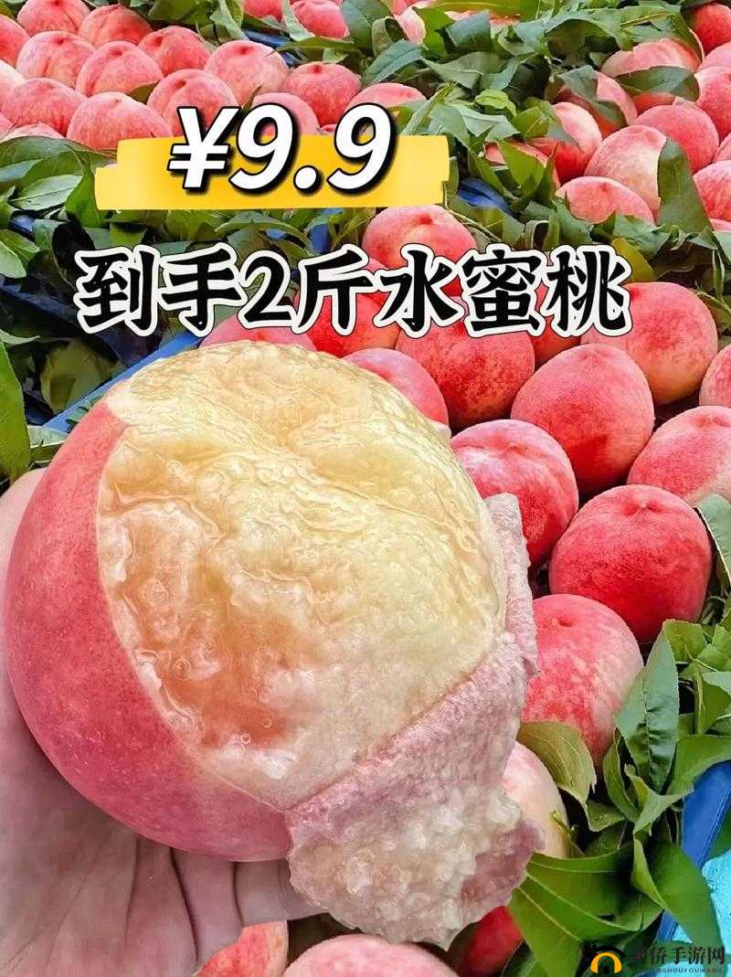 像是多汁的水蜜桃谁都想咬怎么唱：背后的秘密
