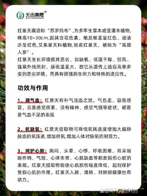 烟雨江湖红景天获取攻略：探寻红景天获取方法与技巧