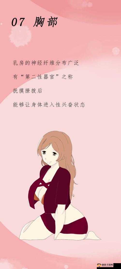 可以随便触摸部位的手机软件下载- 满足你的探索欲望