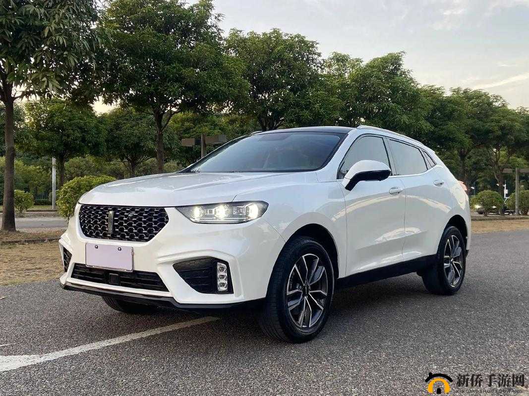 WEY VV5 国产 SUV 引领时尚潮流