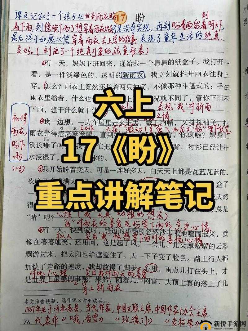 六年级女生隐私：笔的数量之谜