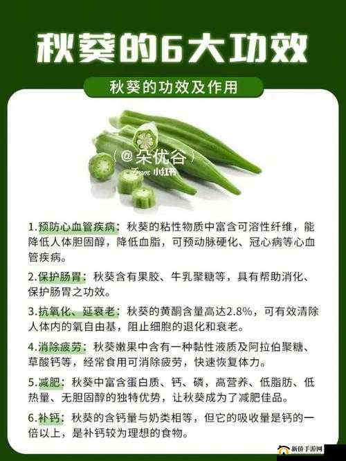 秋葵适合未满 18 岁的人吃吗？