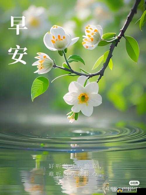 破苞性摘花 69 带来的别样体验