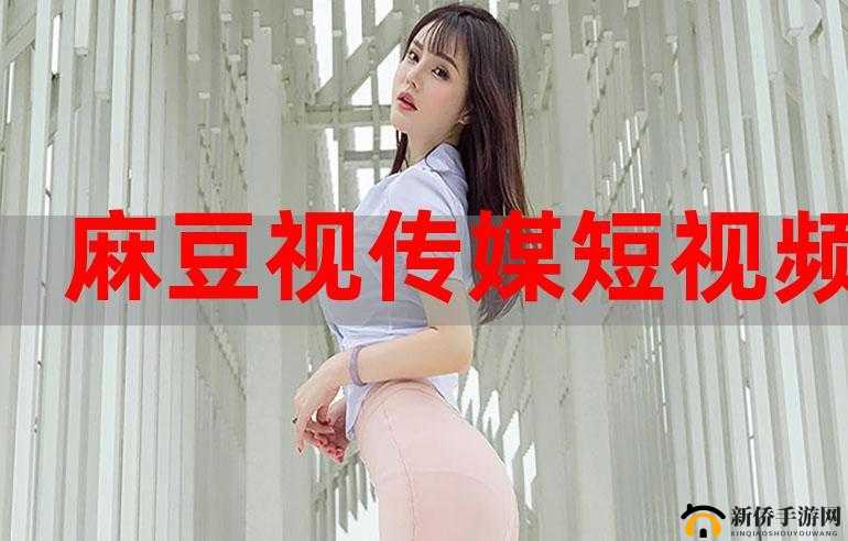 麻豆视传媒入口：精彩内容，尽在这里
