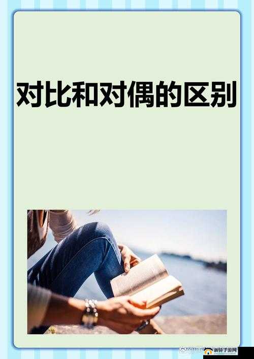 麻豆一二三产区区别：特点与差异