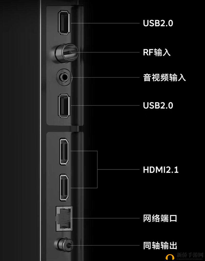 航海王启航新世界布鲁斯实力究竟如何？深度技能测评解析