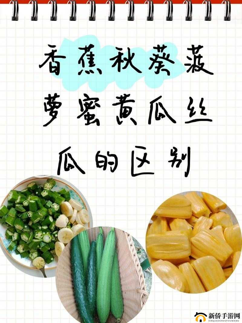 秋葵茄子丝瓜香蕉榴莲：美味蔬果大集合