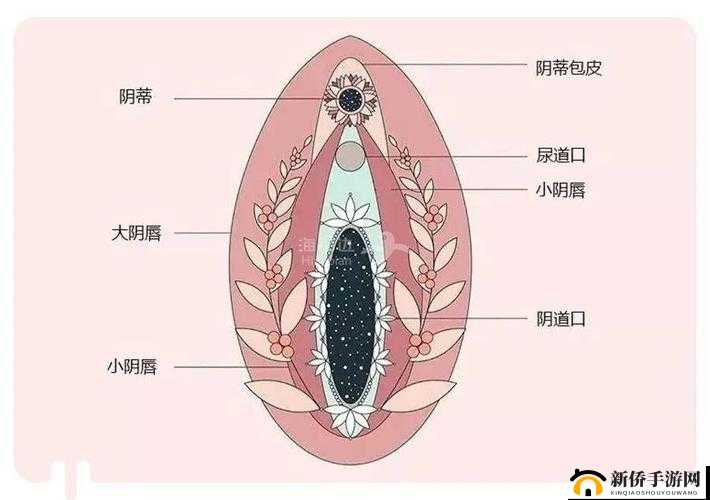 电流アクメ拷问所痉挛女体的极致体验