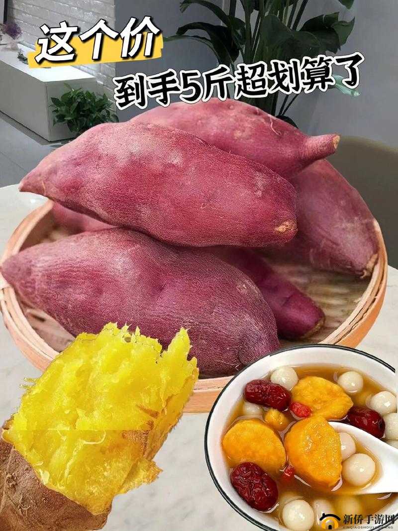 茄子丝瓜向日葵黄瓜榴莲鸭脖：美味果蔬大集合