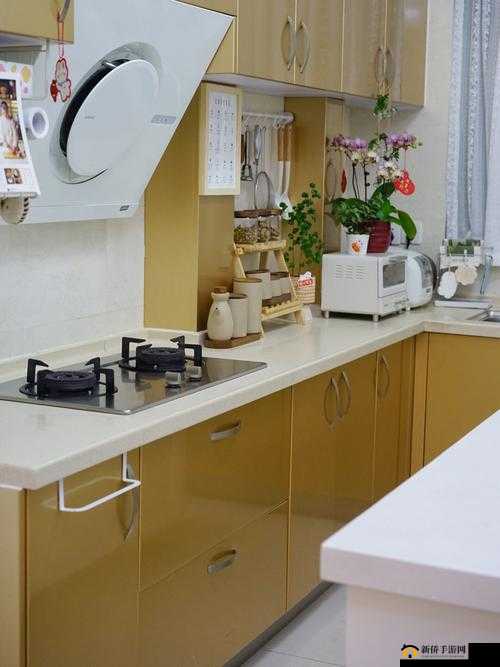 从厨房一路干到卧室：探索家居新玩法