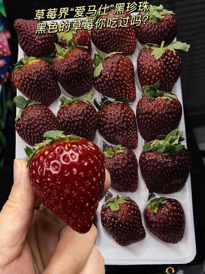 迈开腿吃草莓对男性性功能好吗：探究其科学性