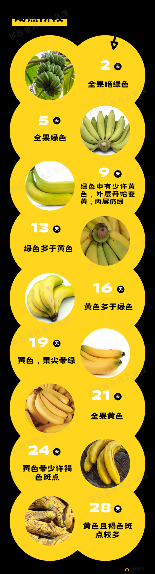 黄品汇香蕉就去干：探寻水果背后的故事