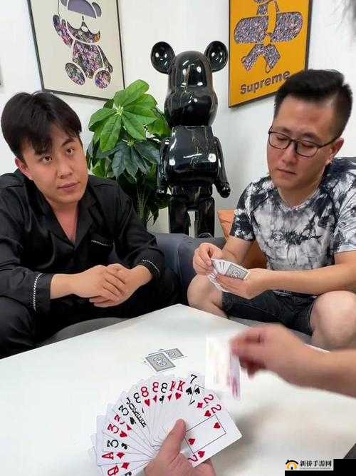 乡村傻子一杆枪闯天下视频：震撼来袭