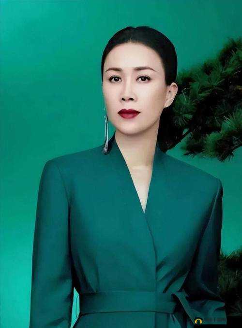 那英 BB 好看吗：颜值与实力并存