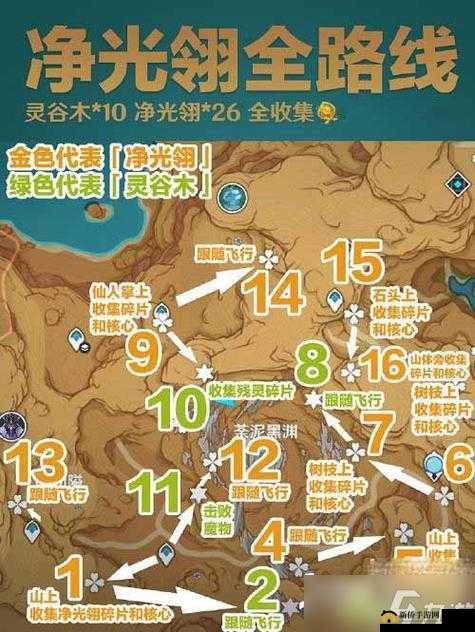 《沃玛霸主双开攻略：高效挂机全解析》
