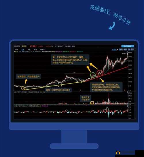 免费的行情网站：提供精准数据与实时分析