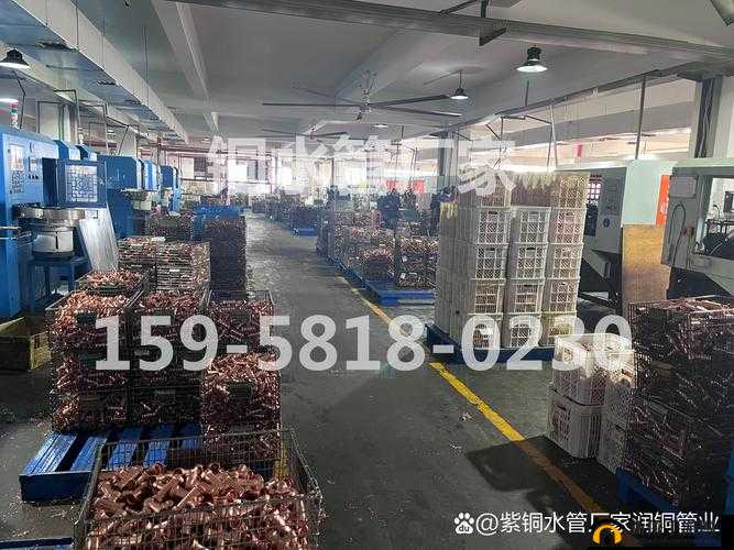 铜铜铜铜铜铜铜铜好多疼：探寻背后缘由