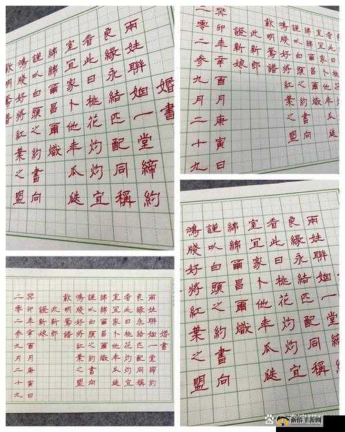 最强祖师弟子结道侣之道，祖师传授缔结良缘之秘术