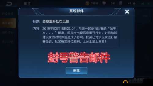 王者荣耀违规行为警告解析