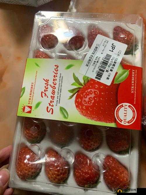 草莓樱桃西瓜榴莲通用包装盒：实用美观的选择