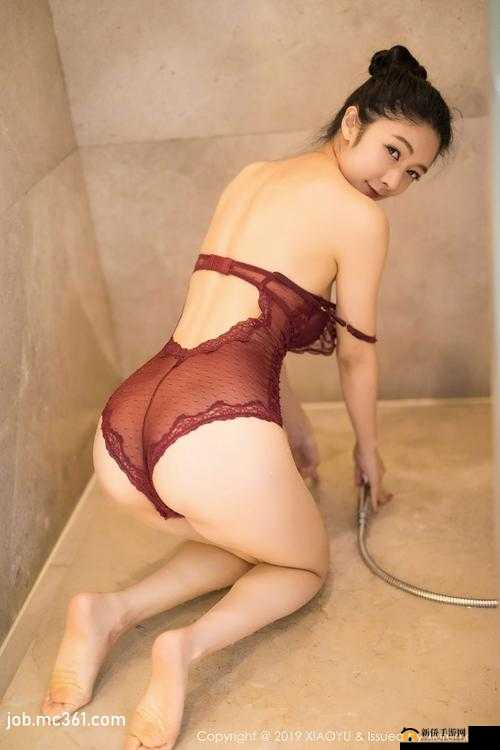 权臣 hlH：其权势之路