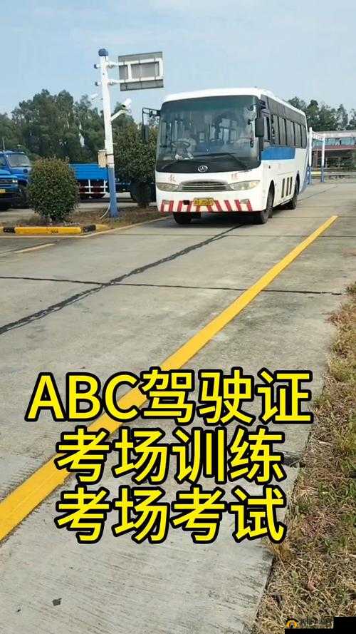 国产 A1A2A3 恢复更新：值得期待