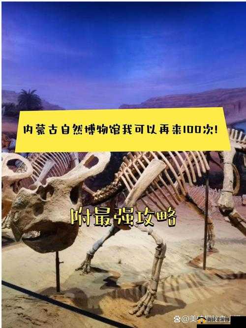 探索 37 大但人文艺术 Yongyuxun 的奥秘