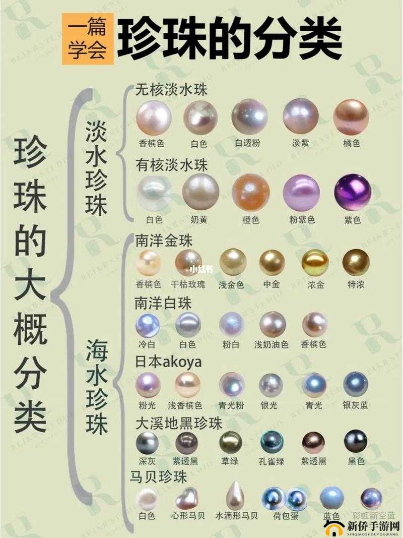 珍珠闪耀：Tchia珍珠位置全览