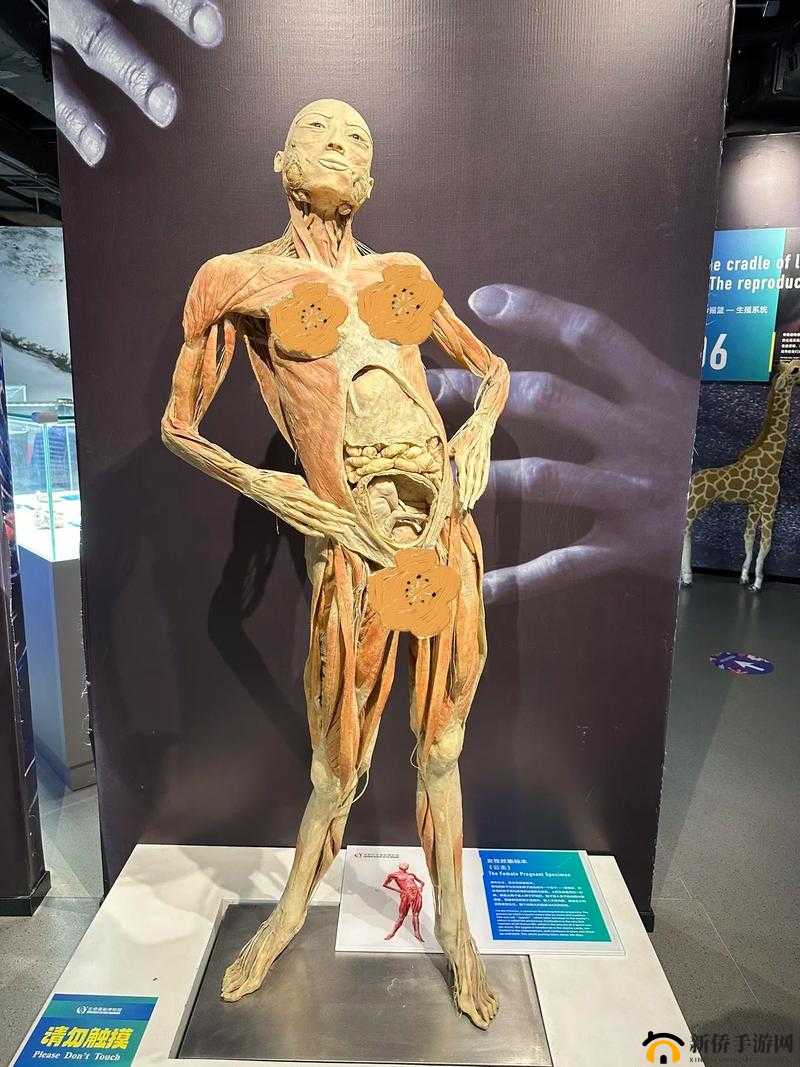 老师小扫货：水能这么多的奥秘