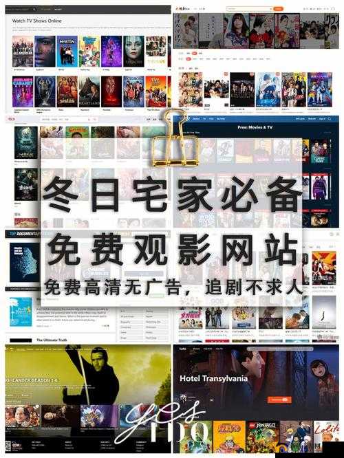 免费网站在线观看人数在哪网站：相关查询途径