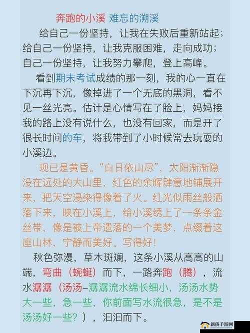一次难忘的大学经历：在实践中成长