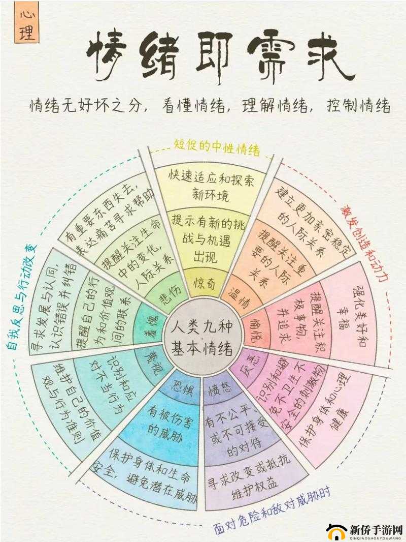 S 和 M 哪个更享受：背后的心理奥秘