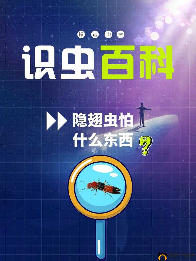 天天富翁控骰能力巧用攻略：技巧解析与实战运用指南