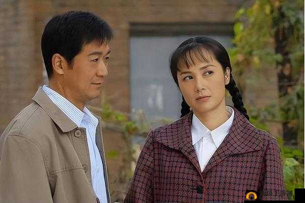 适合夫妻观看的电视剧有哪些：父母爱情金婚甄嬛传等