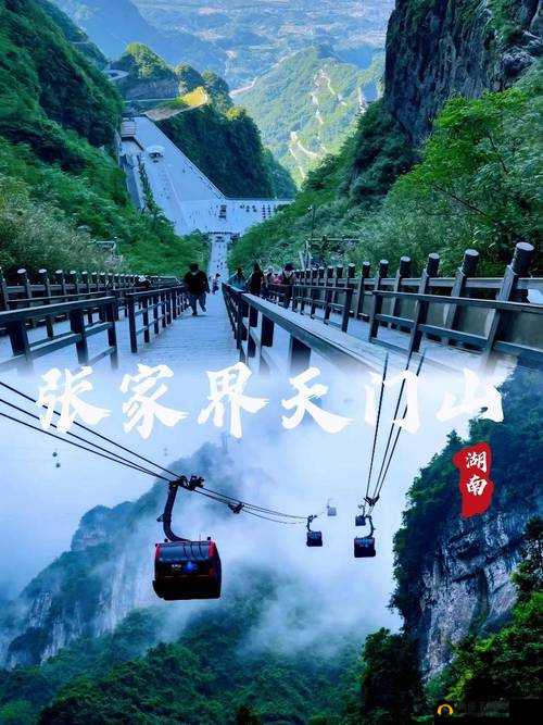 WWWXXX：探索未知的奇妙之旅