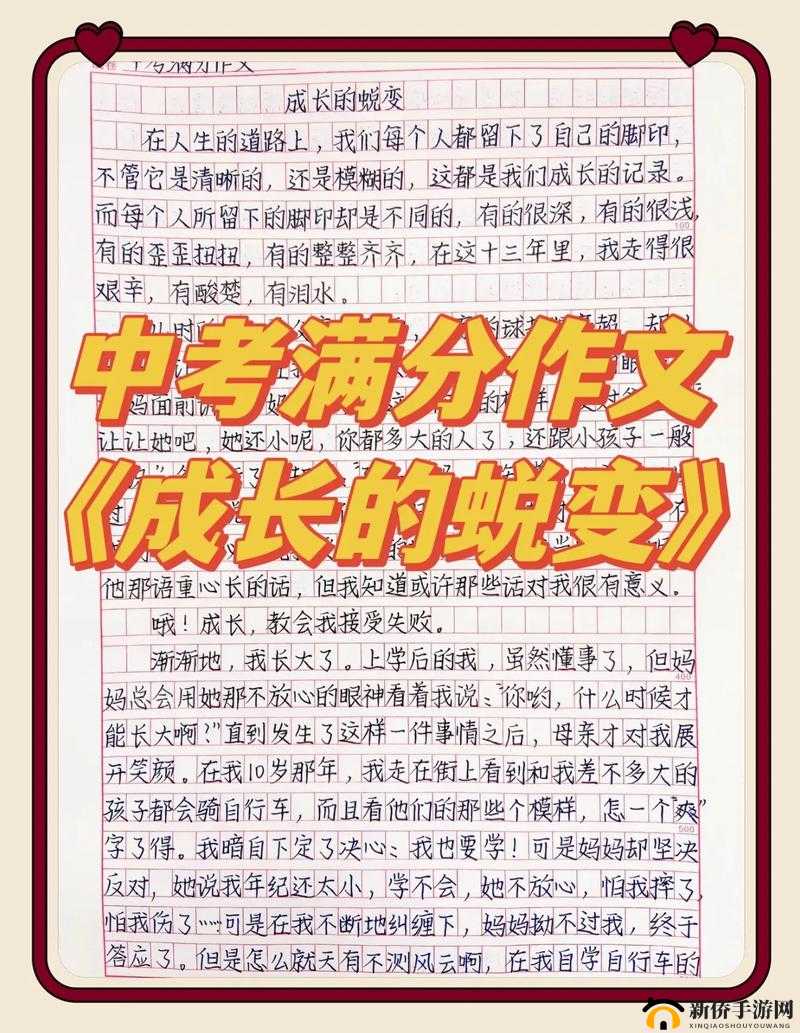 《决胜沙场：忍者学园忍术忍者的成长与挑战》