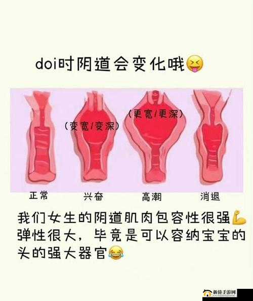 97 成人精品：探索两性之间的奥秘