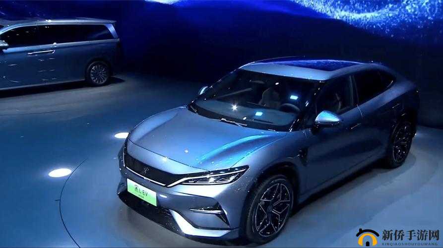 亚洲人页码 evev 五连鞭：震撼绝技背后的故事