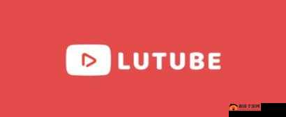 lubuntu 最佳线路检测 3：提升网络速度的实用工具