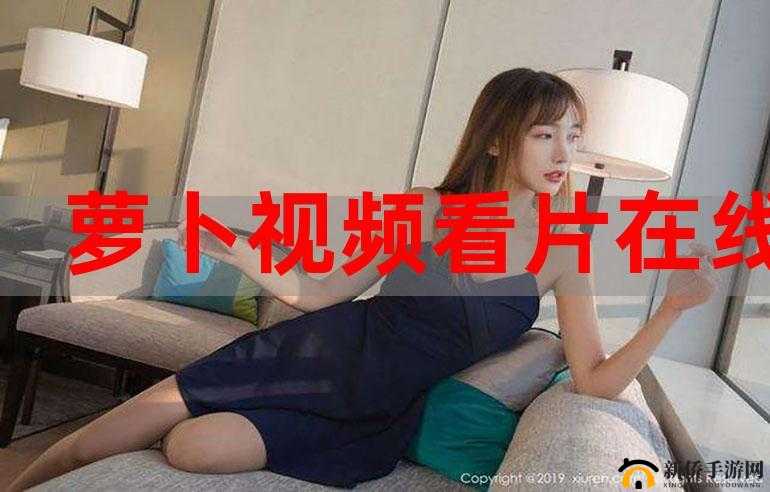 王伦宝 1069 在线相关内容及解读