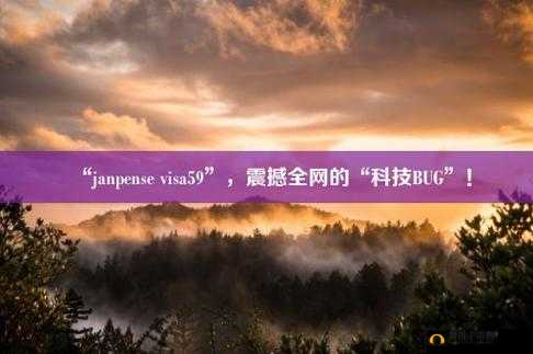 janpense visa18-19 相关内容解读