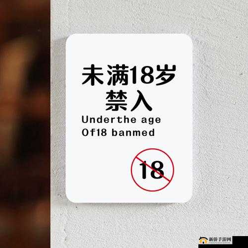 未满十八岁禁止进入服务器在美国相关规定