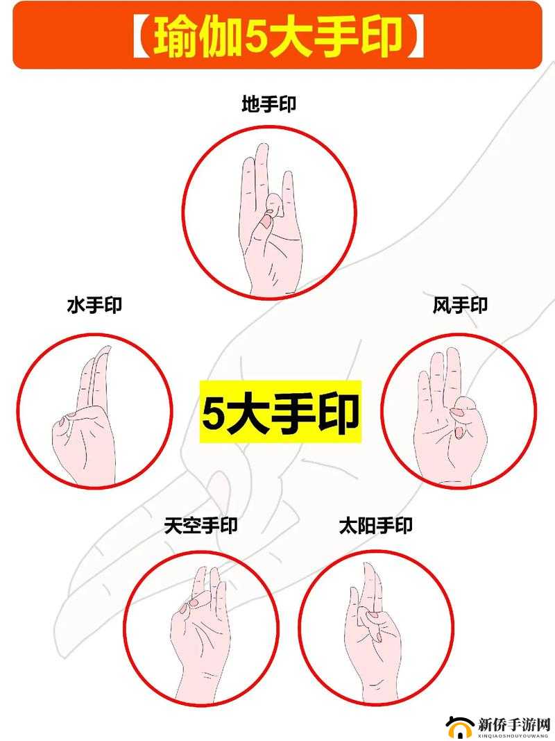 功夫宠物新手宝典：轻松上手必备大技巧攻略指南