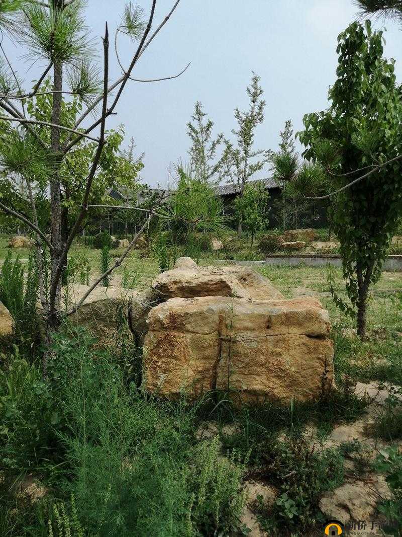 天天传奇热门伙伴推荐排行：哪个伙伴好？