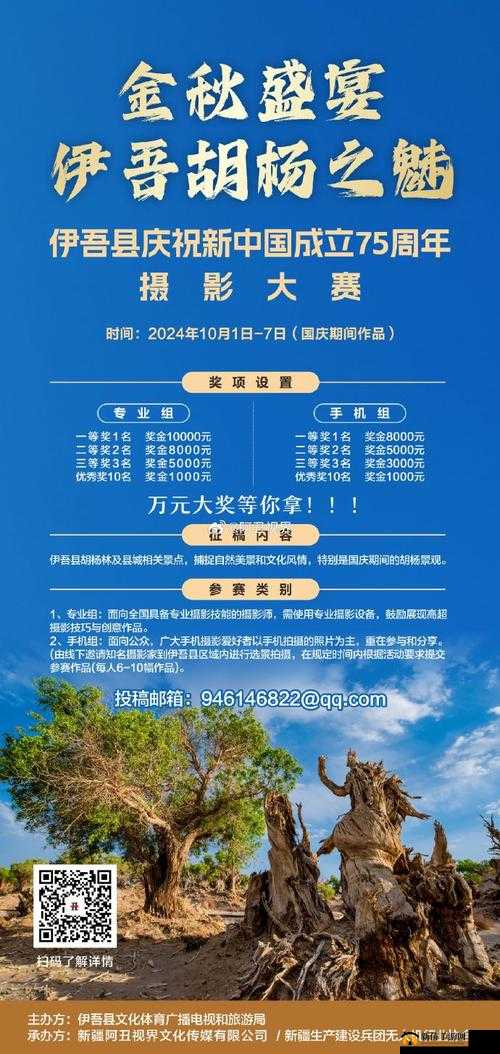 磨菇传媒星空：打造独特传媒品牌