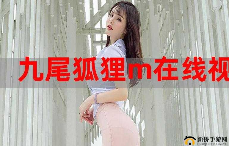 菠萝蜜免费入口 5：畅享精彩资源