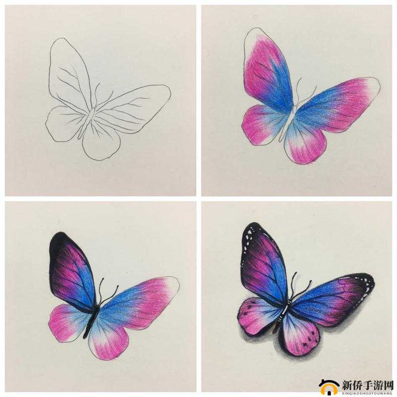 花蝴蝶免费版大全：相关介绍及使用指南