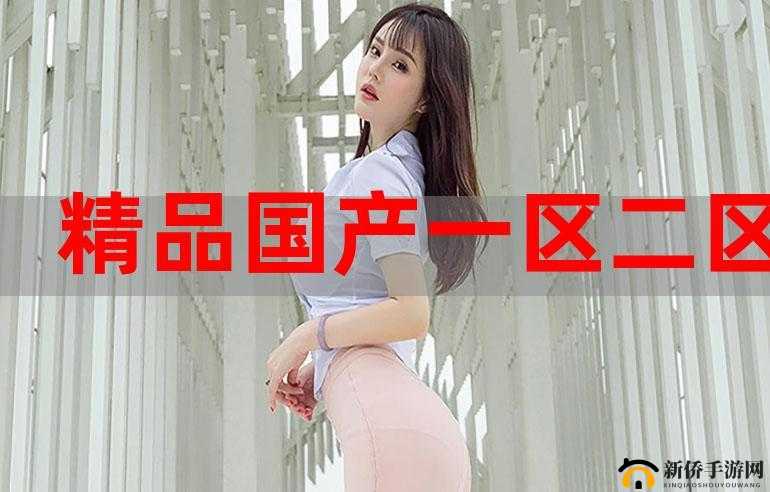 国精产品秘天美一区二区三区：探索精彩世界